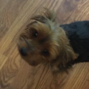 Meet your Posher, Angela